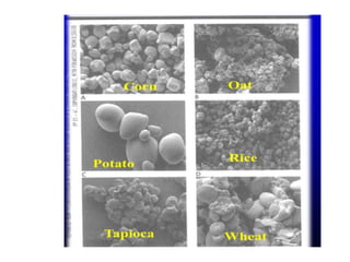 Modified Starches: Techniques and Applications | PPT