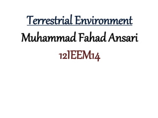Terrestrial Environment
Muhammad Fahad Ansari
12IEEM14
 