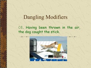 Dangling Modifiers
O1. Having been thrown in the air,
the dog caught the stick.
 