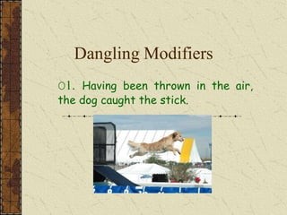 Dangling Modifiers
O1. Having been thrown in the air,
the dog caught the stick.
 