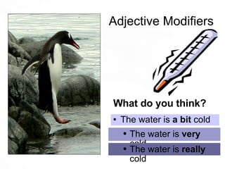 Adjective Modifiers What do you think? The water is  very  cold The water is  really  cold The water is  a bit  cold 