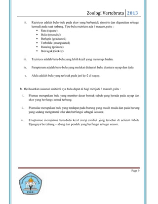 Zoologi Vertebrata 2013
       ii.     Rectrices adalah bulu-bulu pada ekor yang berbentuk simetris dan digunakan sebagai
               kemudi pada saat terbang. Tipe bulu rectrices ada 6 macam,yaitu :
                   Rata (square)
                   Bulat (rounded)
                   Berlapis (graduated)
                   Terbelah (emarginated)
                   Runcing (pointed)
                   Bercagak (forked)

   iii.        Tectrices adalah bulu-bulu yang lebih kecil yang menutupi badan.

   iv.         Parapterum adalah bulu-bulu yang melekat didaerah bahu diantara sayap dan dada

       v.      Alula adalah bulu yang terletak pada jari ke-2 di sayap.



b. Berdasarkan susunan anatomi nya bulu dapat di bagi menjadi 3 macam,yaitu :

  i.         Plumae merupakan bulu yang member dasar bentuk tubuh yang berada pada sayap dan
             ekor yang berfungsi untuk terbang.

 ii.         Plamulae merupakan bulu yang terdapat pada burung yang masih muda dan pada burung
             yang sedang mengerami telur dan berfungsi sebagai isolator.

iii.         Filoplumae merupakan bulu-bulu kecil mirip rambut yang tersebar di seluruh tubuh.
             Ujungnya bercabang – abang dan pendek yang berfungsi sebagai sensor.




                                                                                           Page 9
 