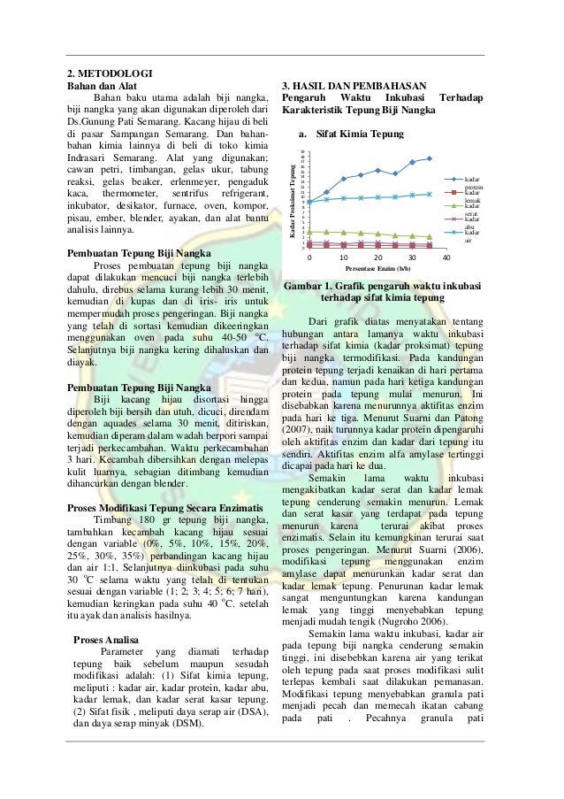 Modifikasi tepung biji nangka, Tepung Biji Nangka