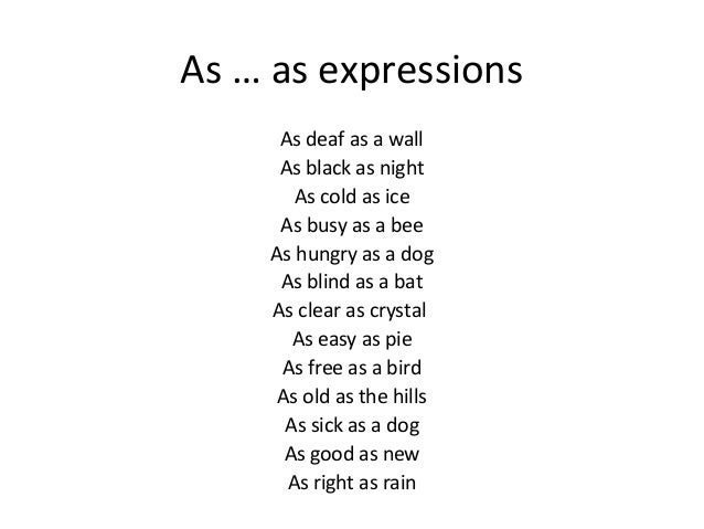Big Words To Describe A Dog Big Words To Describe A Dog
