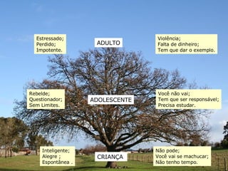 ADOLESCENTE CRIANÇA  ADULTO Inteligente; Alegre ; Espontânea . Rebelde; Questionador; Sem Limites. Estressado; Perdido; Impotente. Violência; Falta de dinheiro; Tem que dar o exemplo. Você não vai; Tem que ser responsável; Precisa estudar. Não pode; Você vai se machucar; Não tenho tempo. 