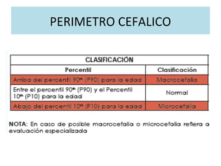 PERIMETRO CEFALICO

 