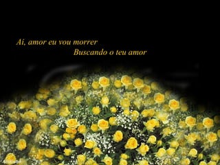 Ai, amor eu vou morrer  Buscando o teu amor 