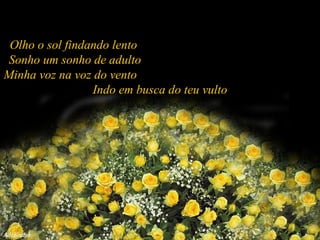 Olho o sol findando lento  Sonho um sonho de adulto  Minha voz na voz do vento  Indo em busca do teu vulto 
