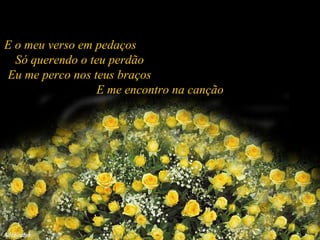 E o meu verso em pedaços  Só querendo o teu perdão  Eu me perco nos teus braços  E me encontro na canção 