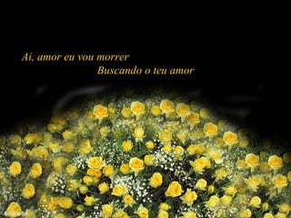 Ai, amor eu vou morrer  Buscando o teu amor 