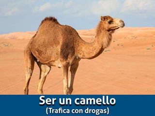 Ser un camello
(Tra
fi
ca con drogas)
 
