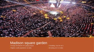 Madison square garden 
 