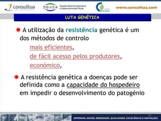 42
 A utilização da resistência genética é um
dos métodos de controlo
mais eficientes,
de fácil acesso pelos produtores,
económico,
 A resistência genética a doenças pode ser
definida como a capacidade do hospedeiro
em impedir o desenvolvimento do patogénio
LUTA GENÉTICA
 