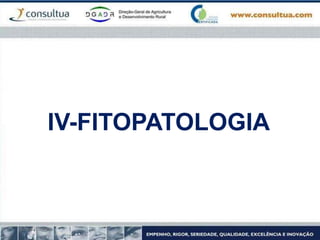 IV-FITOPATOLOGIA
Sónia Soares
 