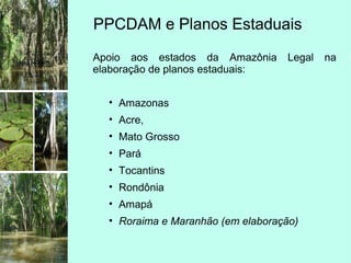 PPCDAM e Planos Estaduais
Apoio aos estados da Amazônia Legal na
elaboração de planos estaduais:
• Amazonas
• Acre,
• Mato Grosso
• Pará
• Tocantins
• Rondônia
• Amapá
• Roraima e Maranhão (em elaboração)
 