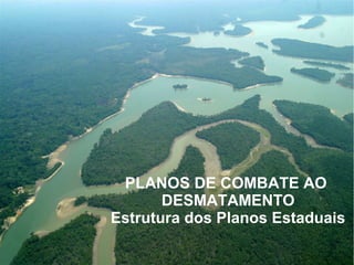 PLANOS DE COMBATE AO
DESMATAMENTO
Estrutura dos Planos Estaduais
 