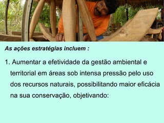 As ações estratégias incluem :
1. Aumentar a efetividade da gestão ambiental e
territorial em áreas sob intensa pressão pelo uso
dos recursos naturais, possibilitando maior eficácia
na sua conservação, objetivando:
 