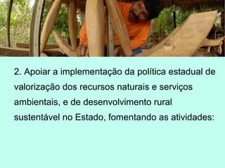 2. Apoiar a implementação da política estadual de
valorização dos recursos naturais e serviços
ambientais, e de desenvolvimento rural
sustentável no Estado, fomentando as atividades:
 