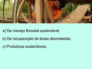 a) De manejo florestal sustentável;
b) De recuperação de áreas desmatadas;
c) Produtivas sustentáveis.
 