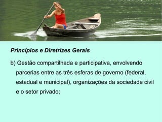 Princípios e Diretrizes Gerais
b) Gestão compartilhada e participativa, envolvendo
parcerias entre as três esferas de governo (federal,
estadual e municipal), organizações da sociedade civil
e o setor privado;
 