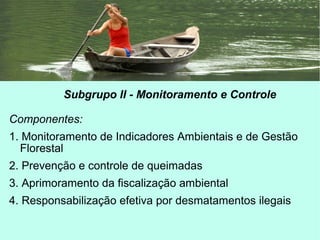Subgrupo II - Monitoramento e Controle
Componentes:
1. Monitoramento de Indicadores Ambientais e de Gestão
Florestal
2. Prevenção e controle de queimadas
3. Aprimoramento da fiscalização ambiental
4. Responsabilização efetiva por desmatamentos ilegais
 