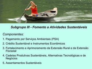 Subgrupo III - Fomento a Atividades Sustentáveis
Componentes:
1. Pagamento por Serviços Ambientais (PSA)
2. Crédito Sustentável e Instrumentos Econômicos
3. Fortalecimento e Aprimoramento da Extensão Rural e da Extensão
Florestal
4. Cadeias Produtivas Sustentáveis, Alternativas Tecnológicas e de
Negócios
5. Assentamentos Sustentáveis
 