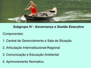 Subgrupo IV - Governança e Gestão Executiva
Componentes:
1. Central de Gerenciamento e Sala de Situação
2. Articulação Interinstitucional-Regional
3. Comunicação e Educação Ambiental
4. Aprimoramento Normativo
 