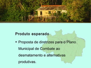 Produto esperado
• Proposta de diretrizes para o Plano
Municipal de Combate ao
desmatamento e alternativas
produtivas.
 