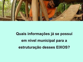 Quais informações já se possuí
em nível municipal para a
estruturação desses EIXOS?
 