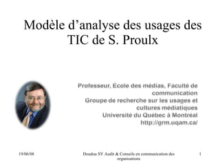 Modèle d’analyse des usages des TIC de S. Proulx 03/06/09 Doudou SY Audit & Conseils en communication des organisations 