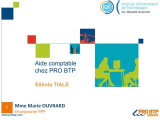 1
Aide comptable
chez PRO BTP
Silénia TIALE
Mme Marie OUVRARD
Enseignante PPP
 