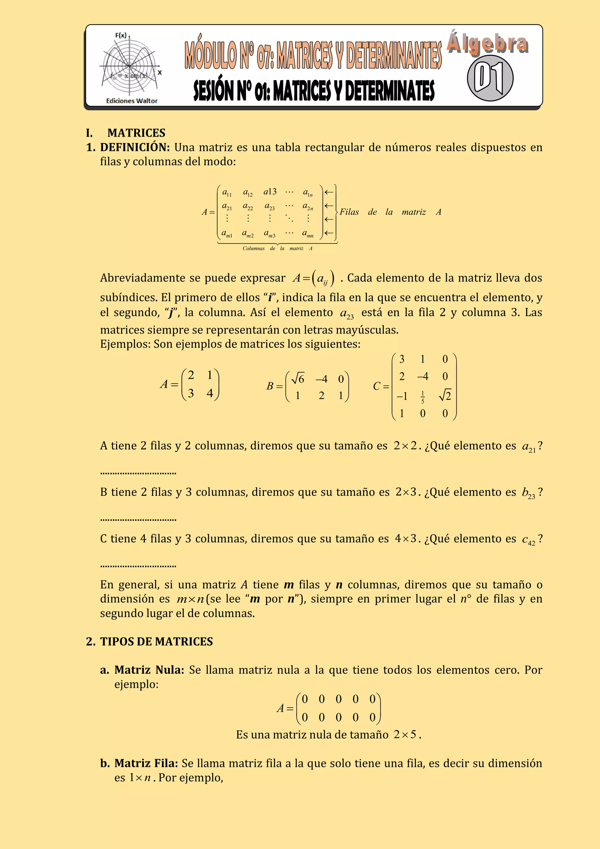 Mod matrices y determinantes | PDF