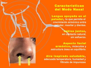Características del Modo Nasal Lengua apoyada en el paladar ,  lo que permite el  crecimiento armónico entre paladar, maxilar y dientes. Labios juntos , en contacto natural,   sin esfuerzo. Aspecto facial armónico ,  músculos y estructura ósea en equilibrio. Aire inspirado saludable , adecuada temperatura, humedad y filtrado de impurezas 