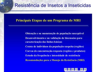 12
Resistência de Insetos a Inseticidas
Principais Etapas de um Programa de MRIPrincipais Etapas de um Programa de MRI
Obtenção e ou manutenção de população susceptivelObtenção e ou manutenção de população susceptivel
Desenvolvimento e ou validação de bioensaios paraDesenvolvimento e ou validação de bioensaios para
caracterização das linhas básicascaracterização das linhas básicas
Coteta de indivíduos da população suspeita (regiões)Coteta de indivíduos da população suspeita (regiões)
Curvas de concentração-resposta (regiões e produtos)Curvas de concentração-resposta (regiões e produtos)
Estudo da frequência e intensidade de resistênciaEstudo da frequência e intensidade de resistência
Recomendações para o Manejo da Resistência (MRI)Recomendações para o Manejo da Resistência (MRI)
RBCARI -
CO MITÊ BRASILEIRO DE AÇÃO A RESISTÊNCIA A INSETICIDAS
 