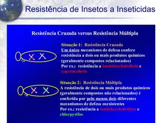 18
Resistência de Insetos a Inseticidas
Resistência CruzadaResistência Cruzada versusversus Resistência MúltiplaResistência Múltipla
Situação 1:Situação 1: Resistência CruzadaResistência Cruzada
Um únicoUm único mecanismo de defesa conferemecanismo de defesa confere
resistência aresistência a dois ou maisdois ou mais produtos químicosprodutos químicos
(geralmente compostos relacionados)(geralmente compostos relacionados)
Por exPor ex.: resistência a.: resistência a lambdacyhalothrinlambdacyhalothrin ee
cypermethrincypermethrin
Situação 2:Situação 2: Resistência MúltiplaResistência Múltipla
A resistênciaA resistência de dois ou maisde dois ou mais produtos químicosprodutos químicos
(geralmente compostos não relacionados) é(geralmente compostos não relacionados) é
conferidaconferida porpor pelo menos doispelo menos dois diferentesdiferentes
mecanismos de defesa coexistentesmecanismos de defesa coexistentes
PorPor exex.: resistência a.: resistência a lambdacyhalothirnlambdacyhalothirn ee
chlorpyrifoschlorpyrifos
 