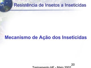 20
Resistência de Insetos a Inseticidas
Mecanismo de Ação dos Inseticidas
 