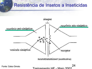 24
Resistência de Insetos a Inseticidas
Fonte: Celso OmotoFonte: Celso Omoto
(acetilcolina)(acetilcolina)
 