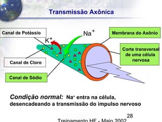 28
Na+
Canal de Sódio
Corte transversal
de uma célula
nervosa
Condição normal: Na+
entra na célula,
desencadeando a transmissão do impulso nervoso
K+
Canal de Potássio Membrana do Axônio
Canal de Cloro
Transmissão Axônica
 