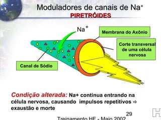 29
Na+
Condição alterada: Na+ continua entrando na
célula nervosa, causando impulsos repetitivos 
exaustão e morte
Moduladores de canais de NaModuladores de canais de Na++
PIRETRÓIDESPIRETRÓIDES
Canal de Sódio
Membrana do Axônio
Corte transversal
de uma célula
nervosa
 