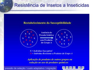 45
Resistência de Insetos a Inseticidas
SS
SS
SSSS
SS
SS
SS
RR
RR
RR
RR
RR
RR
RR
RRRR
RR
RR
RRSS
SS
SS
SS
SS
SS
SS
SS
SS
SS
SS
SS
SS
S =S = Indivíduo SusceptívelIndivíduo Susceptível
RR == Indivíduo Resistente a Produtos do Grupo AIndivíduo Resistente a Produtos do Grupo A
Restabelecimento da SusceptibilidadeRestabelecimento da Susceptibilidade
Ausência deAusência de
Pressão SeletivaPressão Seletiva
sem Produtossem Produtos
do Grupo Ado Grupo A
Aplicação de produtos de outros grupos ouAplicação de produtos de outros grupos ou
redução no uso de produtos químicosredução no uso de produtos químicos
RBCARI -
CO MITÊBRASILEIRO D E AÇÃO A RESI ST ÊNCIA A IN SETICID AS
pressão de seleção / custo adaptativo / migração
 