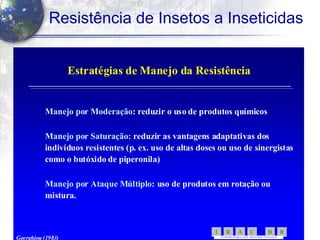 46
Resistência de Insetos a Inseticidas
Estratégias de Manejo da ResistênciaEstratégias de Manejo da Resistência
ManejoManejo porpor ModeraçãoModeração: reduzir o uso de produtos químicos: reduzir o uso de produtos químicos
ManejoManejo porpor Saturação:Saturação: reduzir as vantagensreduzir as vantagens adaptativasadaptativas dosdos
indivíduos resistentes (p.indivíduos resistentes (p. exex. uso de altas doses ou uso de. uso de altas doses ou uso de sinergistassinergistas
como o butóxido de piperonila)como o butóxido de piperonila)
ManejoManejo porpor Ataque Múltiplo:Ataque Múltiplo: uso de produtos em rotação ouuso de produtos em rotação ou
mistura.mistura.
Georghiou (1983)
RBCARI -
CO MITÊBRA SILEIRO D EAÇÃO A RESI ST ÊNCIA A IN SETICID AS
 
