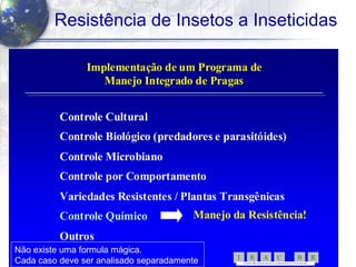 54
Resistência de Insetos a Inseticidas
Implementação de um Programa deImplementação de um Programa de
Manejo Integrado de PragasManejo Integrado de Pragas
Controle CulturalControle Cultural
Controle Biológico (predadores eControle Biológico (predadores e parasitóidesparasitóides))
Controle MicrobianoControle Microbiano
ControleControle porpor ComportamentoComportamento
Variedades Resistentes / PlantasVariedades Resistentes / Plantas TransgênicasTransgênicas
Controle QuímicoControle Químico
OutrosOutros
Manejo da Resistência!Manejo da Resistência!
RBCARI -
COMITÊ BR ASILEIR O DE AÇÃ OA RESISTÊNC IA A IN SETICI DAS
Não existe uma formula mágica.
Cada caso deve ser analisado separadamente.
 