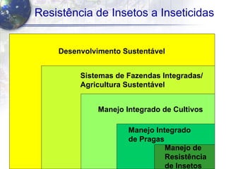 8
Resistência de Insetos a Inseticidas
Desenvolvimento Sustentável
Sistemas de Fazendas Integradas/
Agricultura Sustentável
Manejo Integrado de Cultivos
Manejo Integrado
de Pragas
Manejo de
Resistência
de Insetos
 