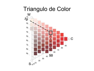 Triangulo de Color