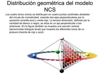 Distribución geométrica del modelo NCSLos cuatro tonos únicos se distribuyen en cuatro puntos cardinales alrededor del círculo de cromaticidad, creando dos ejes perpendiculares por la oposición amarillo-azul y verde-rojo. La tercera dimensión, definida por la cantidad de blanco o negro, se sitúa en un eje perpendicular a los anteriores. En la figura también se muestra una sección vertical (denominada triángulo tonal) que muestra los diferentes tonos de un púrpura (mezcla de rojo y azul).