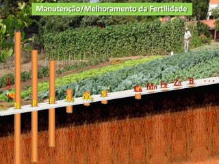 P P Ca Mg
S
Cu Mn Fe Zn B . . .
Kg/ha
N
Manutenção/Melhoramento da Fertilidade
 