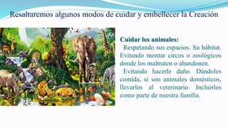 Resaltaremos algunos modos de cuidar y embellecer la Creación
Cuidar los animales:
Respetando sus espacios. Su hábitat.
Evitando montar circos o zoológicos
donde los maltraten o abandonen.
Evitando hacerle daño. Dándoles
comida, si son animales domésticos,
llevarlos al veterinario. Incluirlos
como parte de nuestra familia.
 