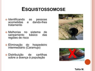 ESQUISTOSSOMOSE
 Identificando as pessoas
acometidas e dando-lhes
tratamento
 Melhorias no sistema de
saneamento básico das
regiões de risco
 Eliminação do hospedeiro
intermediário (Caramujo)
 Distribuição de cartilhas
sobre a doença à população X
Talita M.
 