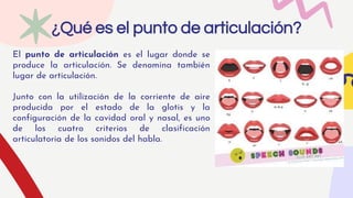 El punto de articulación es el lugar donde se
produce la articulación. Se denomina también
lugar de articulación.
Junto con la utilización de la corriente de aire
producida por el estado de la glotis y la
configuración de la cavidad oral y nasal, es uno
de los cuatro criterios de clasificación
articulatoria de los sonidos del habla.
¿Qué es el punto de articulación?
 