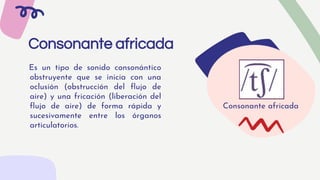 Es un tipo de sonido consonántico
obstruyente que se inicia con una
oclusión (obstrucción del flujo de
aire) y una fricación (liberación del
flujo de aire) de forma rápida y
sucesivamente entre los órganos
articulatorios.
Consonante africada
Consonante africada
 